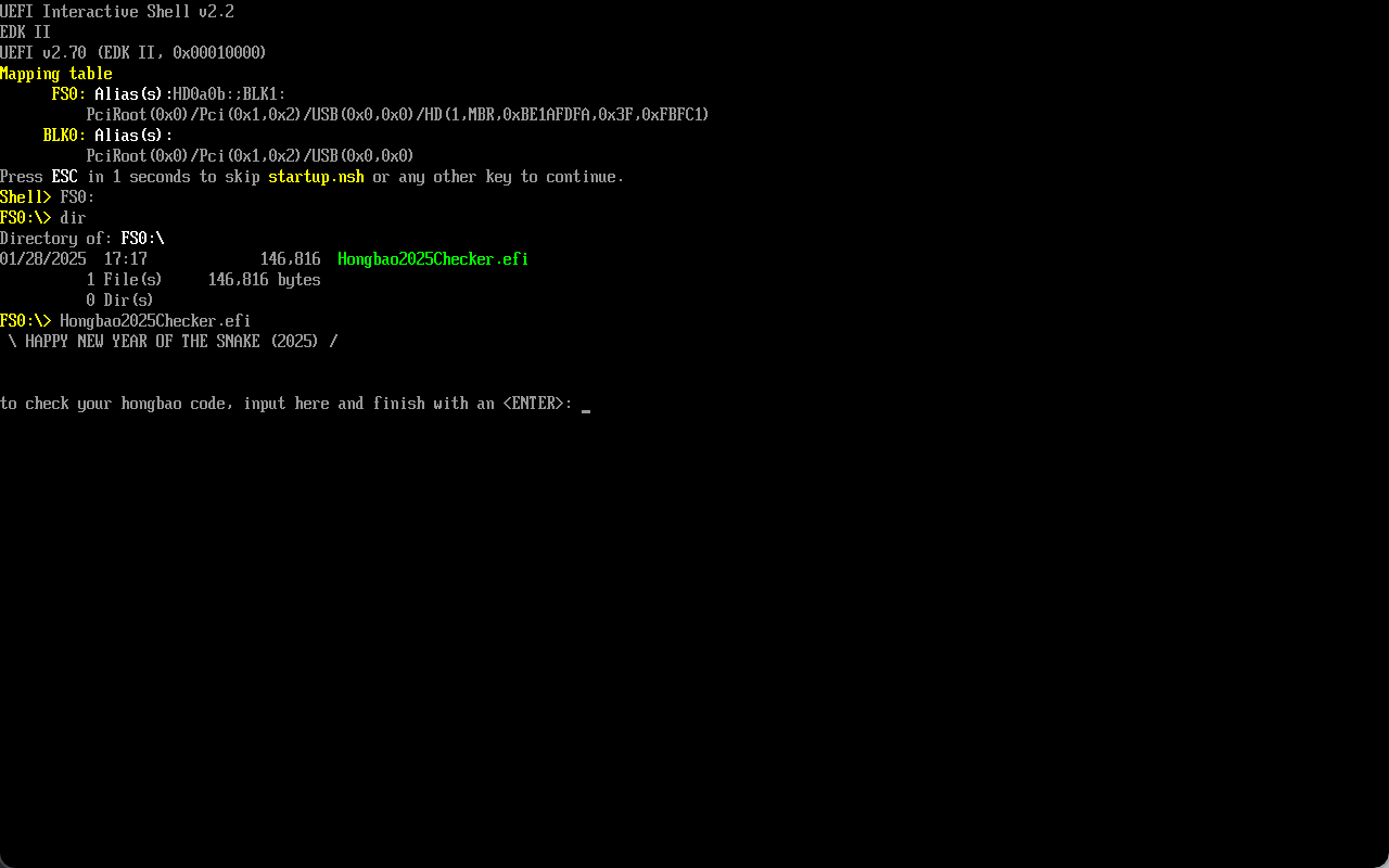 EFI Shell running Hongbao2025Checker.efi